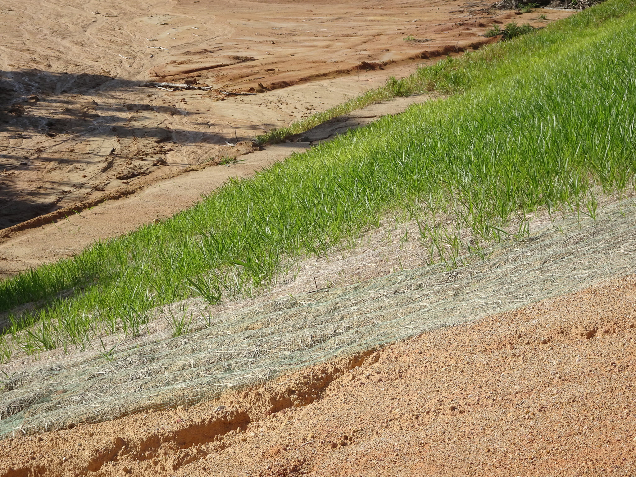 a grass and dirt on a hill